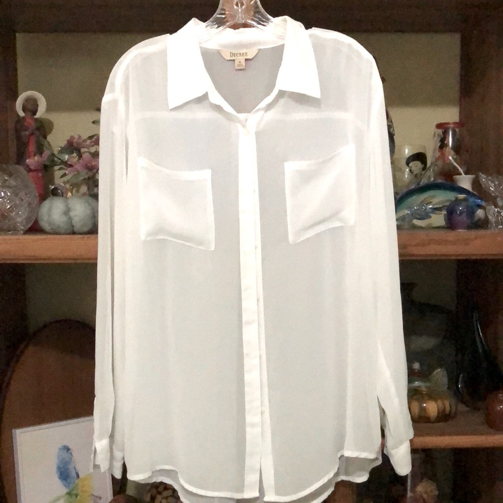 Ladies Decree Sheer Blouse
